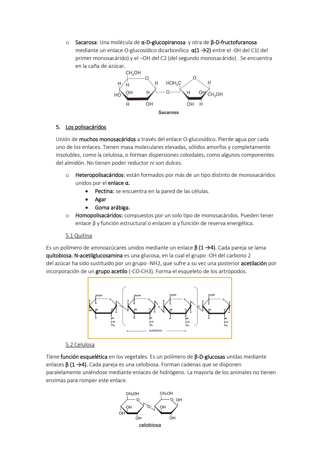 H
TEMA 2. Los glúcidos
1. Los glúcidos
Son biomoléculas formadas principalmente por C, H y O. Son átomos de C unidos a radicales de
hidrógen