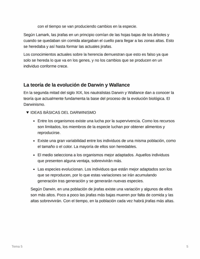 Tema 5
Tema 5
¿Cuáles son las teorías sobre el origen de la
vida?
Teoría de la generación espontánea
Uno de los primeros intentos de dar una
