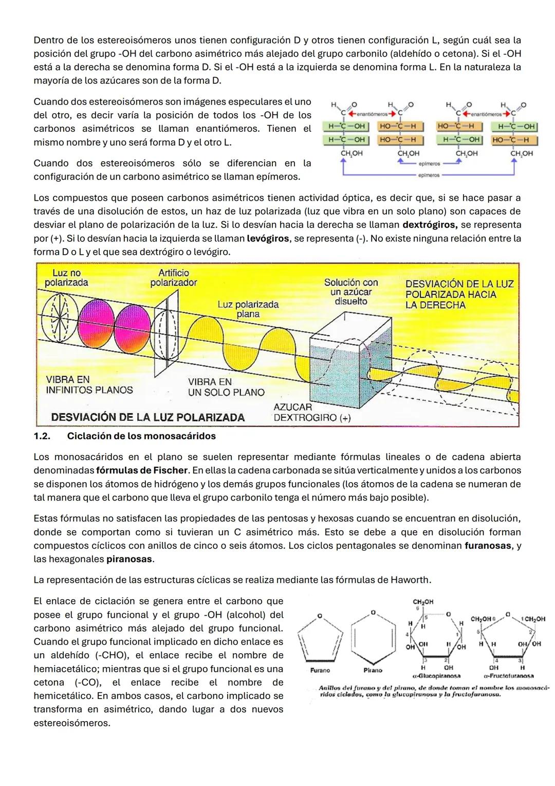 UD 2: BIOMOLECULAS ORGANICAS: GLUCIDOS
Los glúcidos son biomoléculas orgánicas que están formadas principalmente por C, Hy O. Su fórmula emp