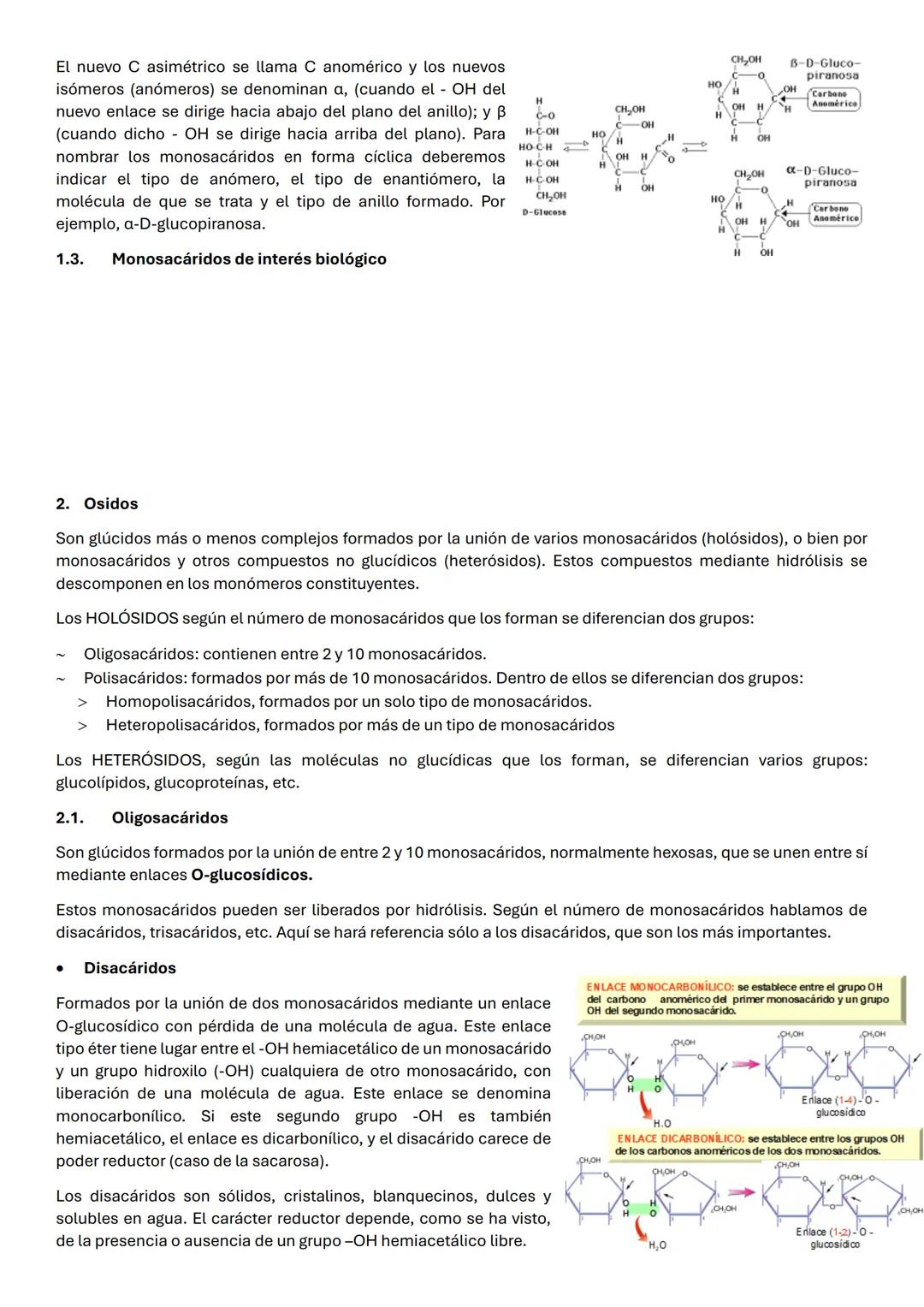 UD 2: BIOMOLECULAS ORGANICAS: GLUCIDOS
Los glúcidos son biomoléculas orgánicas que están formadas principalmente por C, Hy O. Su fórmula emp