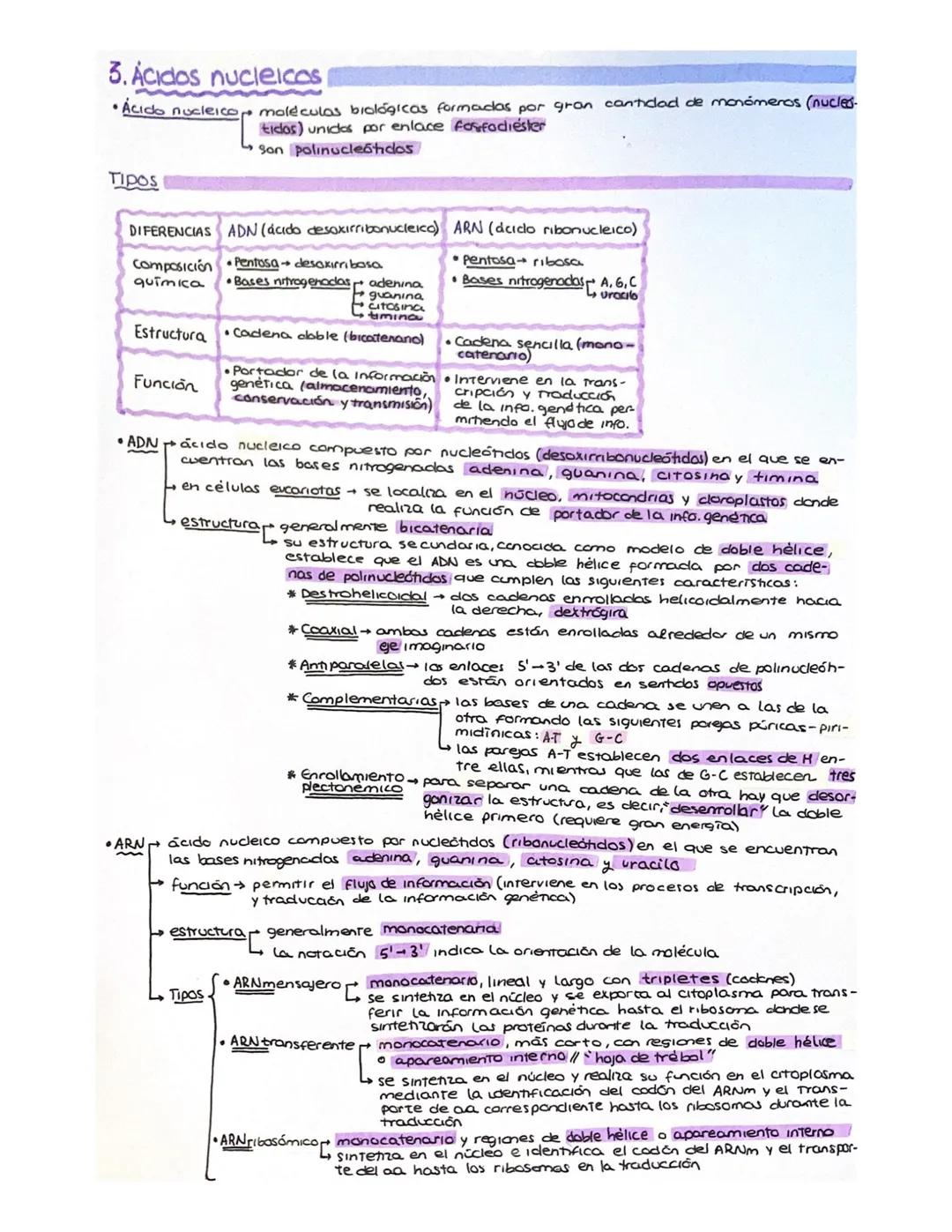5. ACIDOS NUCLEICOS
1. Nucleósidos
• Nucleósidos pentosa + base nitrogenada
↓
enlace B-N-glucosidico
pentasa
<
base nitrogenada So Púnicas a