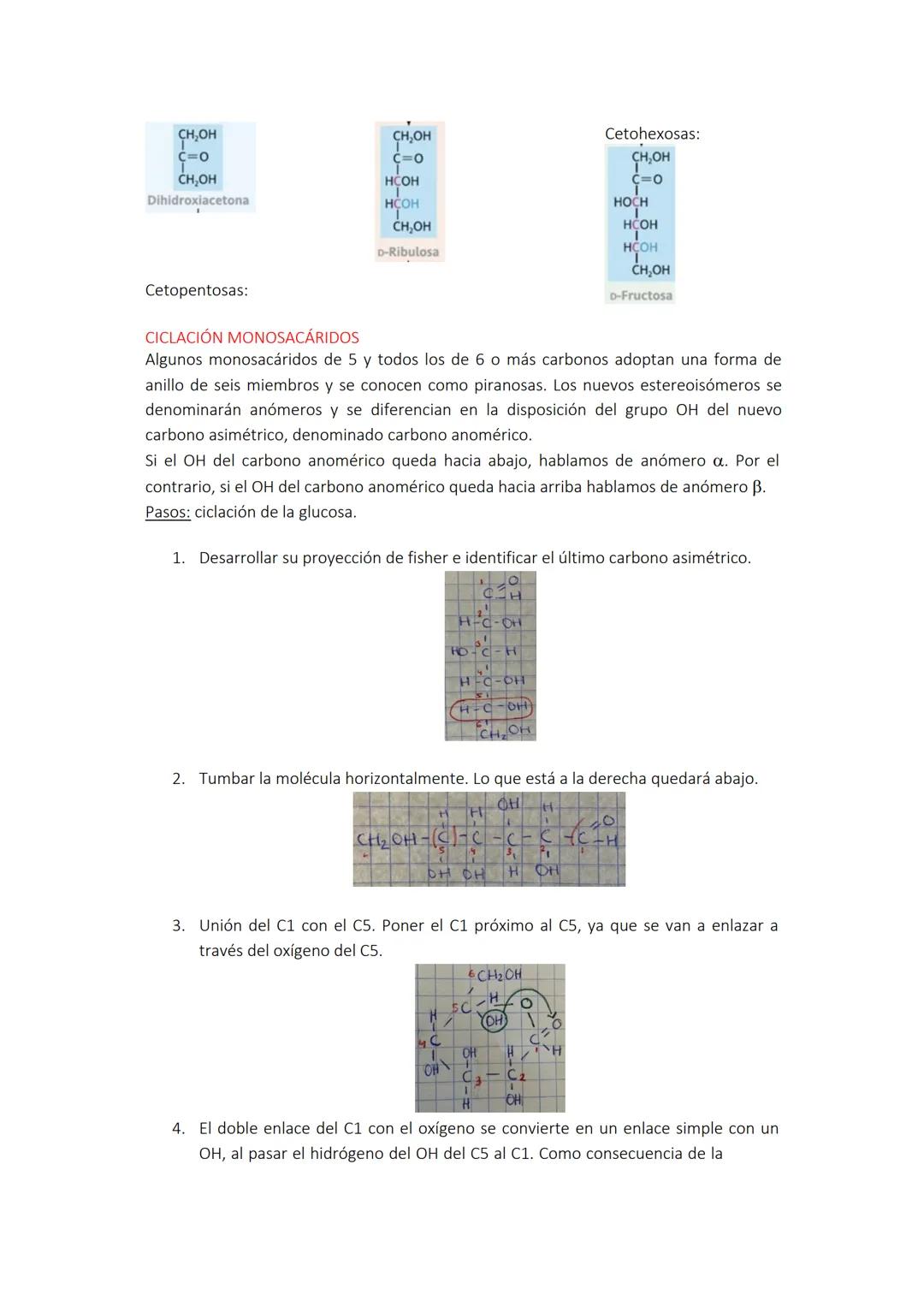 # TEMA 1: GLÚCIDOS. ESTRUCTURA.
MONOSACÁRIDOS, OLIGOSACÁARIDOS Y
POLISACÁRIDOS

GRUPOS FUNCIONALES COMUNES EN BIOQUÍMICA
Las moléculas bioló