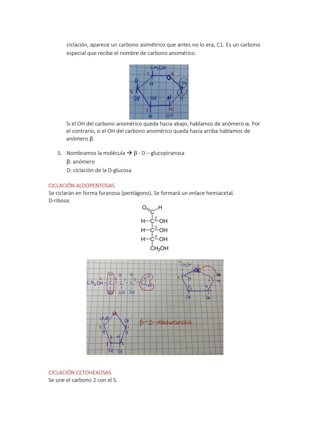# TEMA 1: GLÚCIDOS. ESTRUCTURA.
MONOSACÁRIDOS, OLIGOSACÁARIDOS Y
POLISACÁRIDOS

GRUPOS FUNCIONALES COMUNES EN BIOQUÍMICA
Las moléculas bioló
