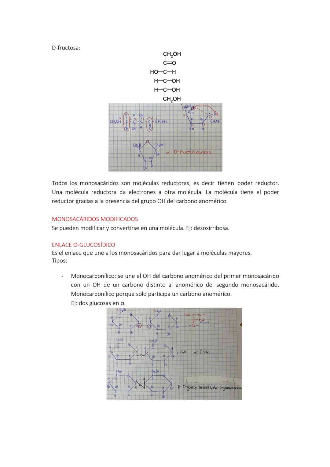 # TEMA 1: GLÚCIDOS. ESTRUCTURA.
MONOSACÁRIDOS, OLIGOSACÁARIDOS Y
POLISACÁRIDOS

GRUPOS FUNCIONALES COMUNES EN BIOQUÍMICA
Las moléculas bioló