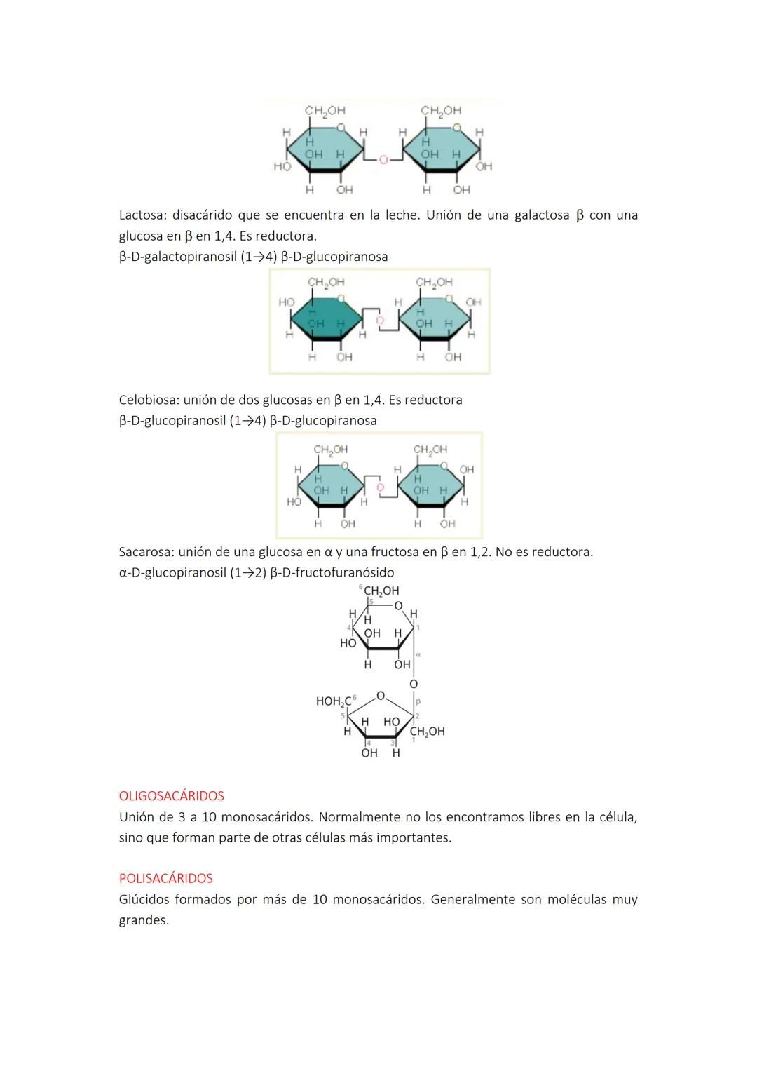 # TEMA 1: GLÚCIDOS. ESTRUCTURA.
MONOSACÁRIDOS, OLIGOSACÁARIDOS Y
POLISACÁRIDOS

GRUPOS FUNCIONALES COMUNES EN BIOQUÍMICA
Las moléculas bioló