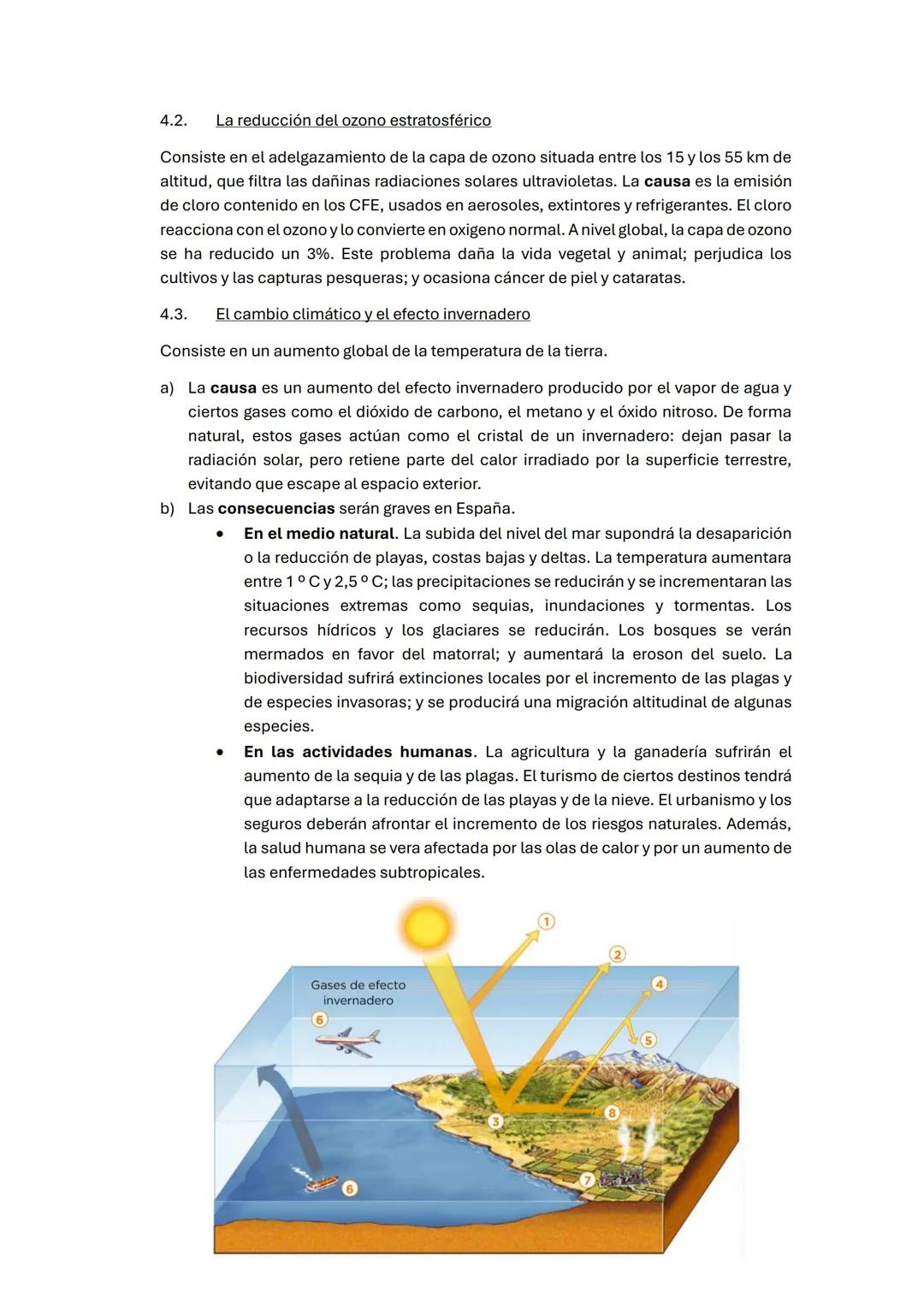GEOGRAFÍA TEMA 4
1. Los paisajes naturales
1. Los paisajes geográficos
El paisaje geográfico es el aspecto visual de un territorio. Depende 