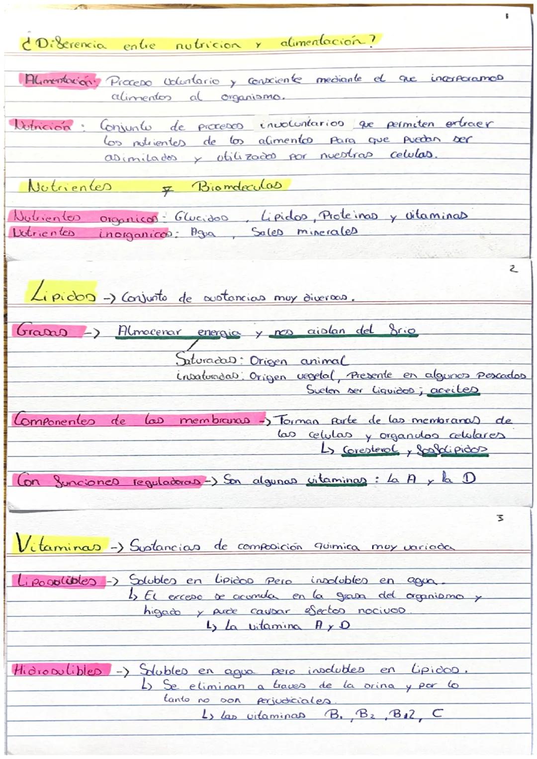 Aspectos Clave de Biología 3 ESO: Alimentación y Nutrición