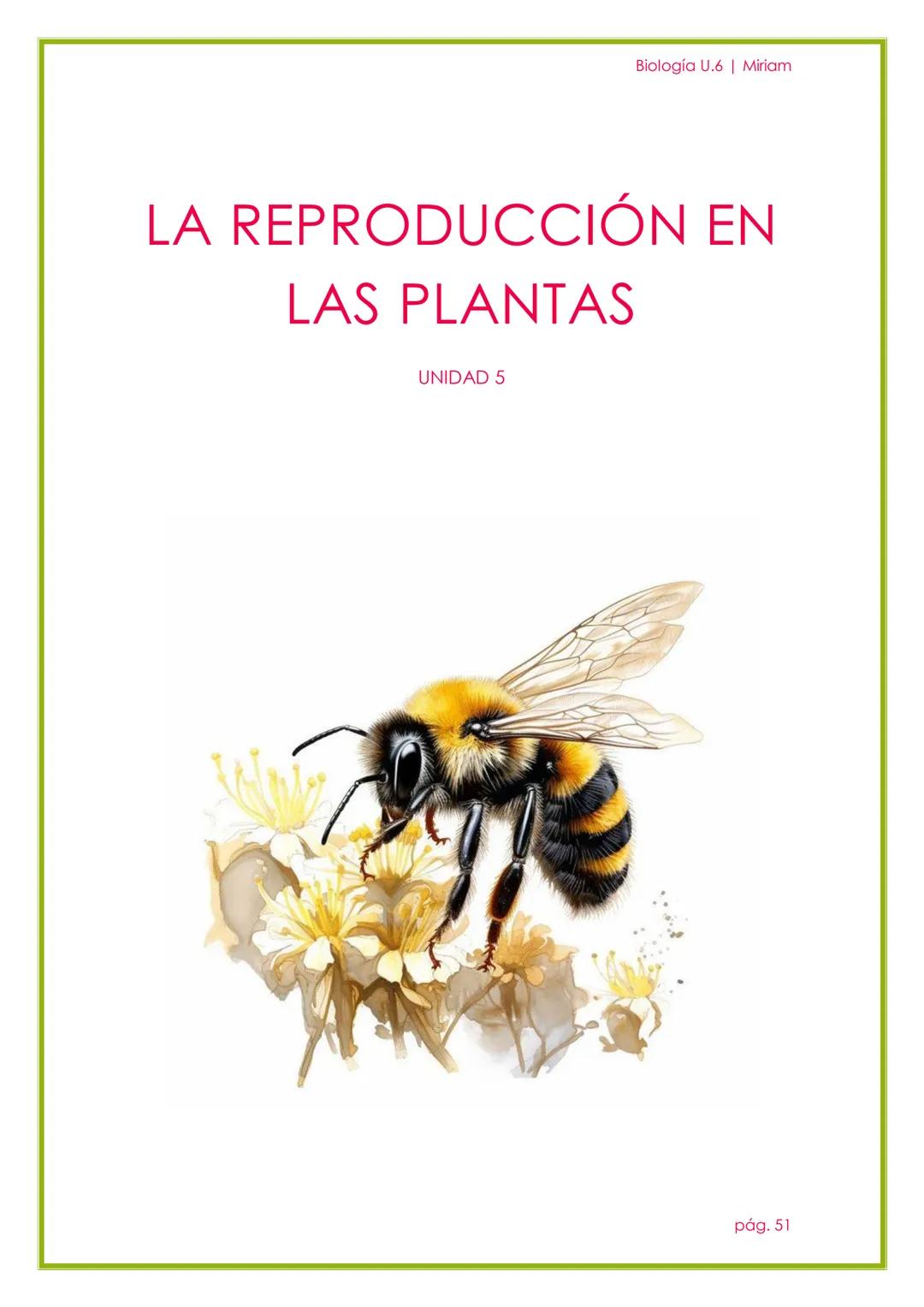 # Biología U.6 | Miriam

# LA REPRODUCCIÓN EN
# LAS PLANTAS

UNIDAD 5

pág. 51 --- OCR Start ---
Biología U.6 | Miriam
1. REPRODUCCIÓN ASEXU
