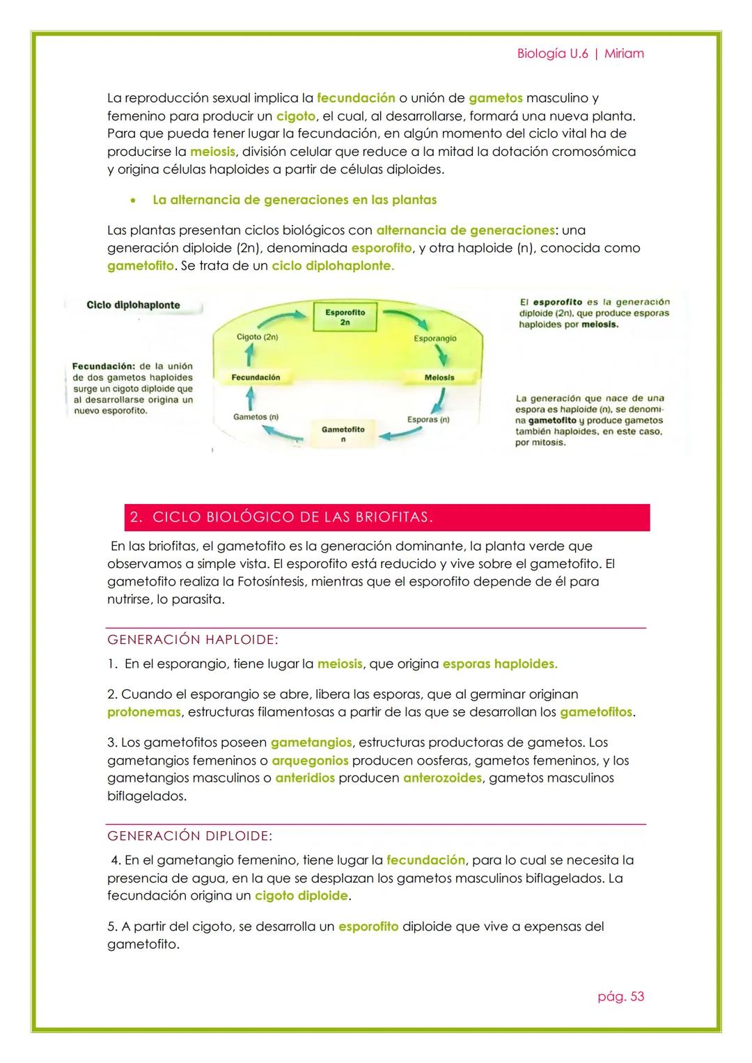 # Biología U.6 | Miriam

# LA REPRODUCCIÓN EN
# LAS PLANTAS

UNIDAD 5

pág. 51 --- OCR Start ---
Biología U.6 | Miriam
1. REPRODUCCIÓN ASEXU