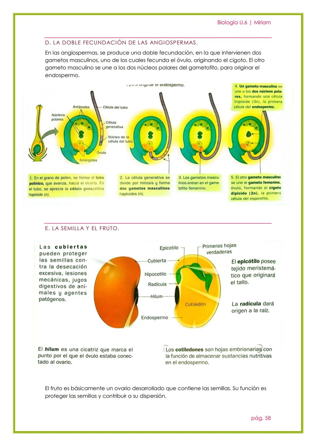 # Biología U.6 | Miriam

# LA REPRODUCCIÓN EN
# LAS PLANTAS

UNIDAD 5

pág. 51 --- OCR Start ---
Biología U.6 | Miriam
1. REPRODUCCIÓN ASEXU