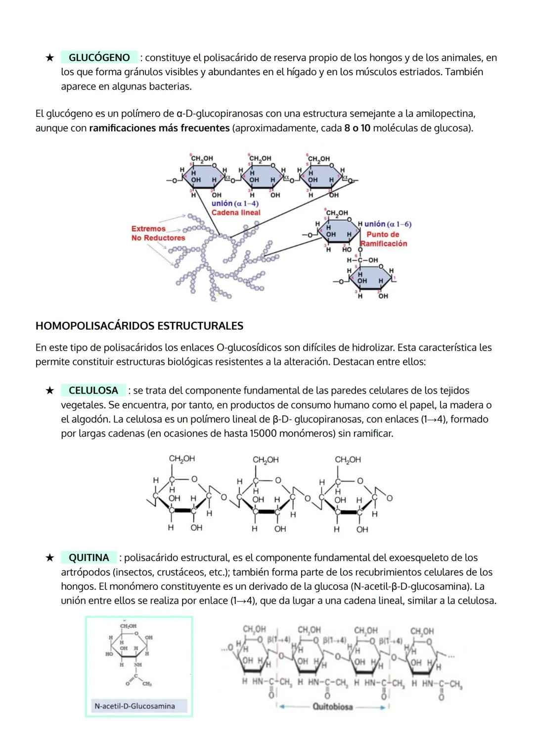 TEMA 2
LOS GLÚCIDOS - hidratos de carbono
1. Características generales y clasificación.
2. Los monosacáridos
a. Estructura
b. Propiedades
c.
