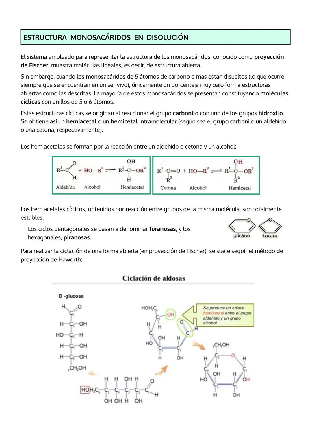 TEMA 2
LOS GLÚCIDOS - hidratos de carbono
1. Características generales y clasificación.
2. Los monosacáridos
a. Estructura
b. Propiedades
c.