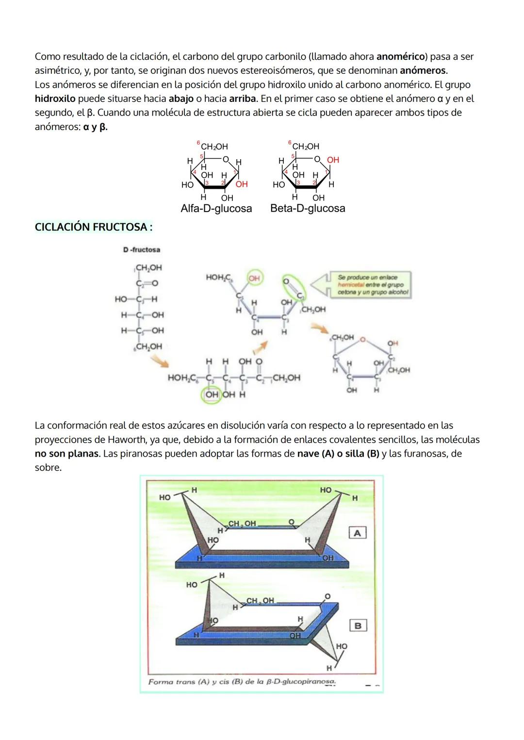 TEMA 2
LOS GLÚCIDOS - hidratos de carbono
1. Características generales y clasificación.
2. Los monosacáridos
a. Estructura
b. Propiedades
c.