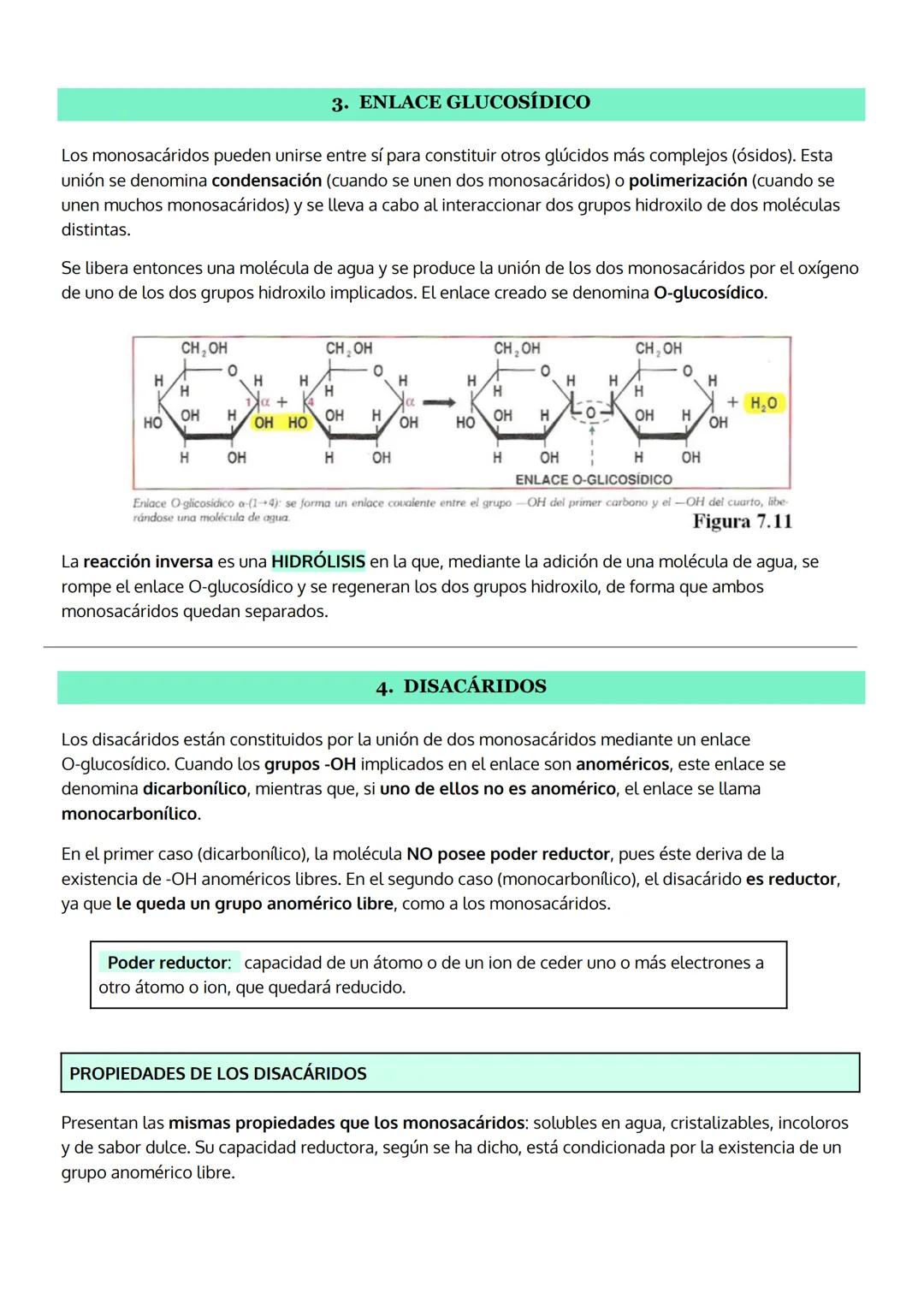 TEMA 2
LOS GLÚCIDOS - hidratos de carbono
1. Características generales y clasificación.
2. Los monosacáridos
a. Estructura
b. Propiedades
c.