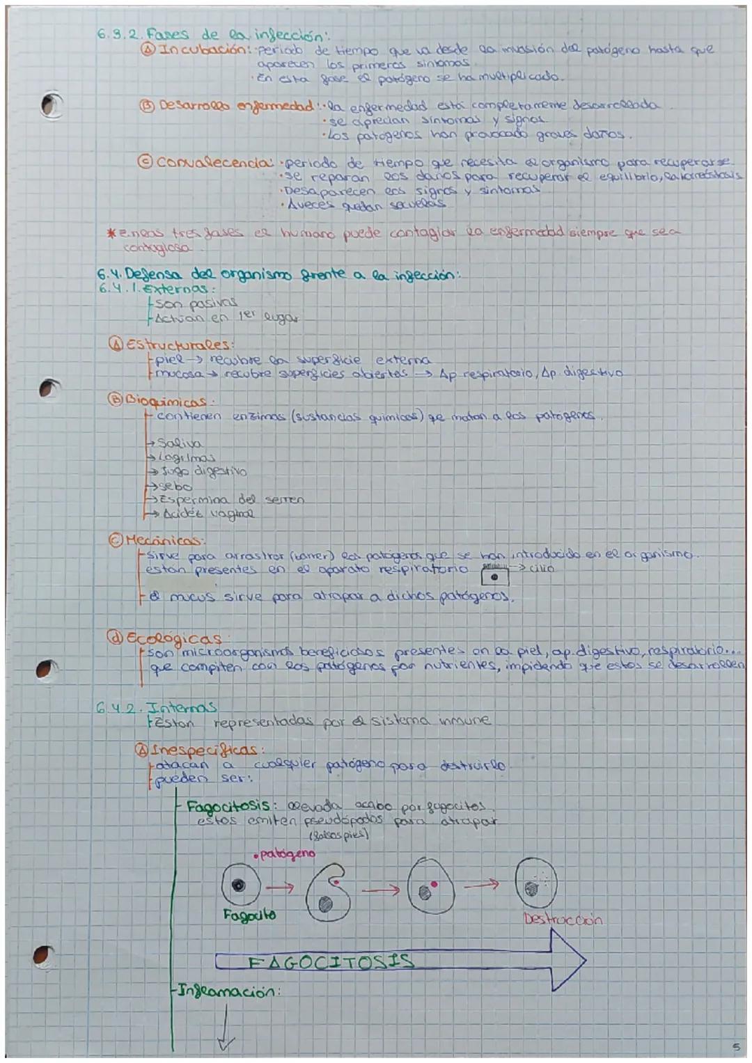 Tema 7
1. Introducción:
- contesta las siguientes preguntas (video).
¿Qué diferencia hay entre pandemia y epidemia?
Una pandemia es cuando u