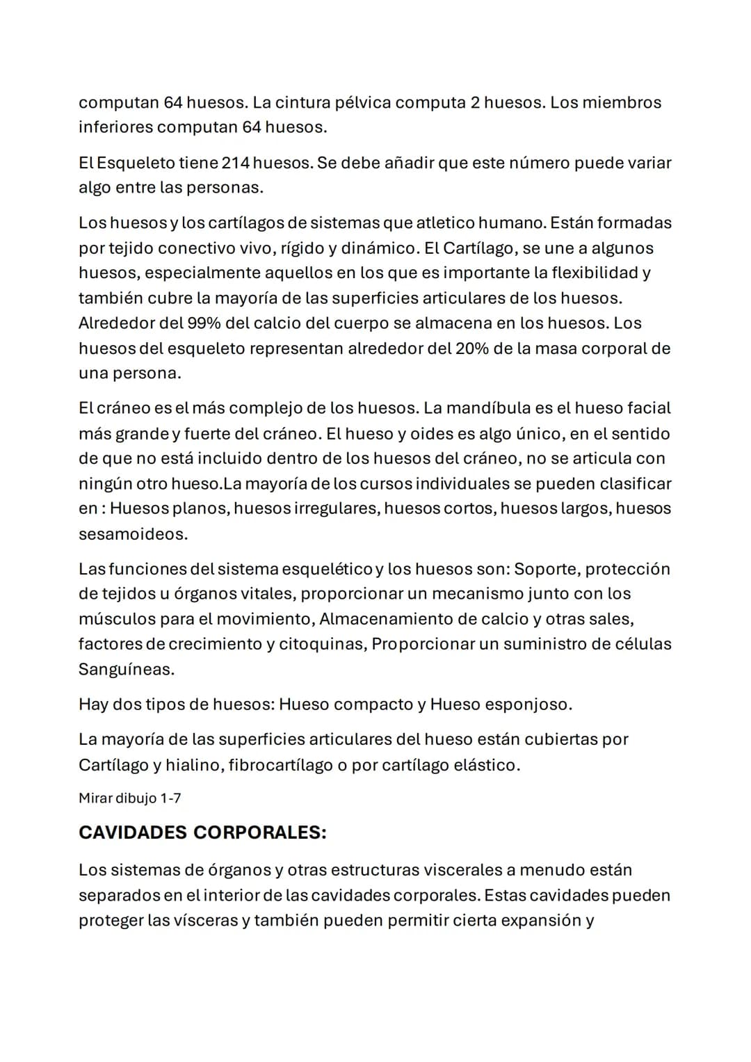 ESQUELETO AXIAL
POSICIÓN ANATÓMICA: esta posición se define como:
• Erguido de pie con la cabeza y los dedos de los pies orientados hacia
De