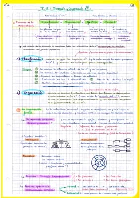 Know ESQUEMAS DIRECCIÓN Y ORGANIZACIÓN, CON DIBUJOS ACLARATORIOS thumbnail