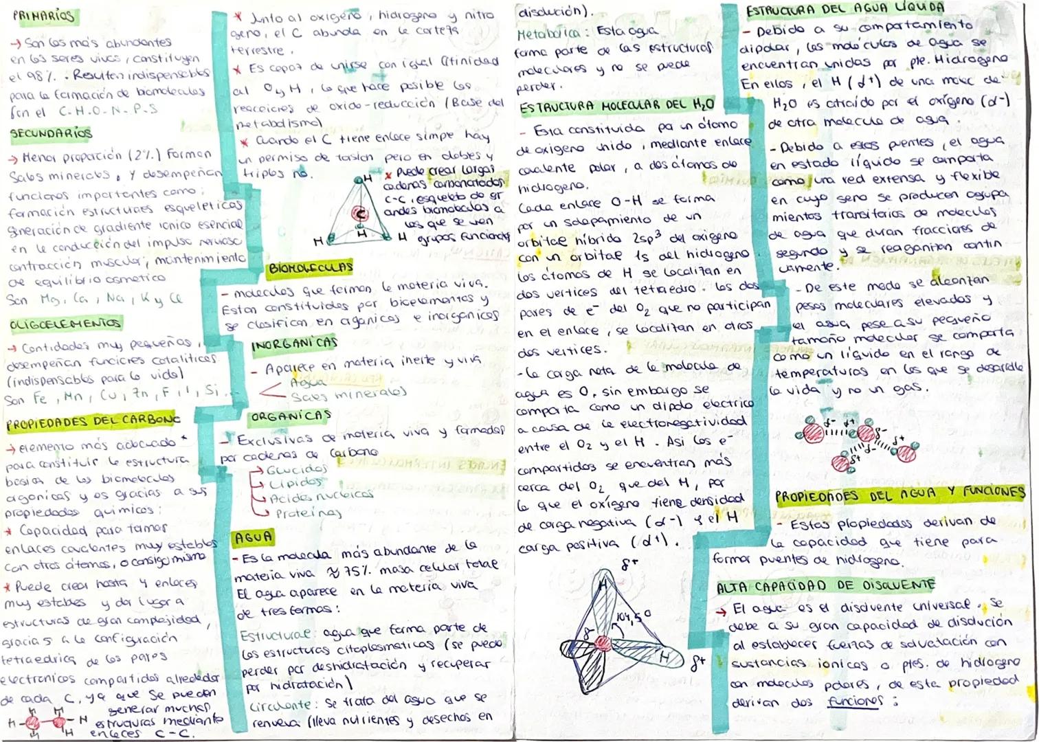 Nicolas kierer Cabsides
Agila y sales
QUE ES LA BIOLOGIA?
- Ciencia que estudia a los
serres vivos tanto a nivel
estructurce (mericlogia) co