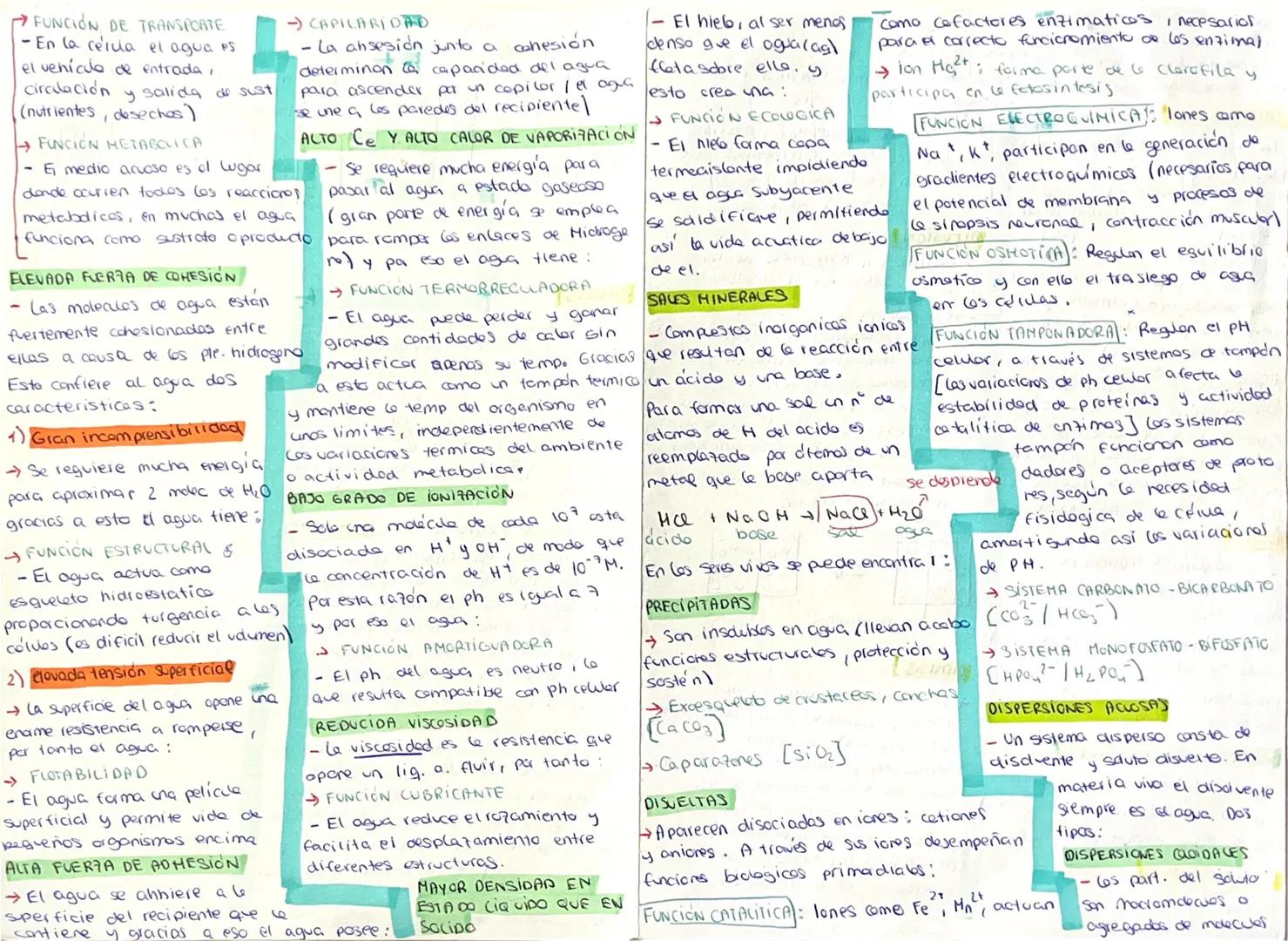 Nicolas kierer Cabsides
Agila y sales
QUE ES LA BIOLOGIA?
- Ciencia que estudia a los
serres vivos tanto a nivel
estructurce (mericlogia) co