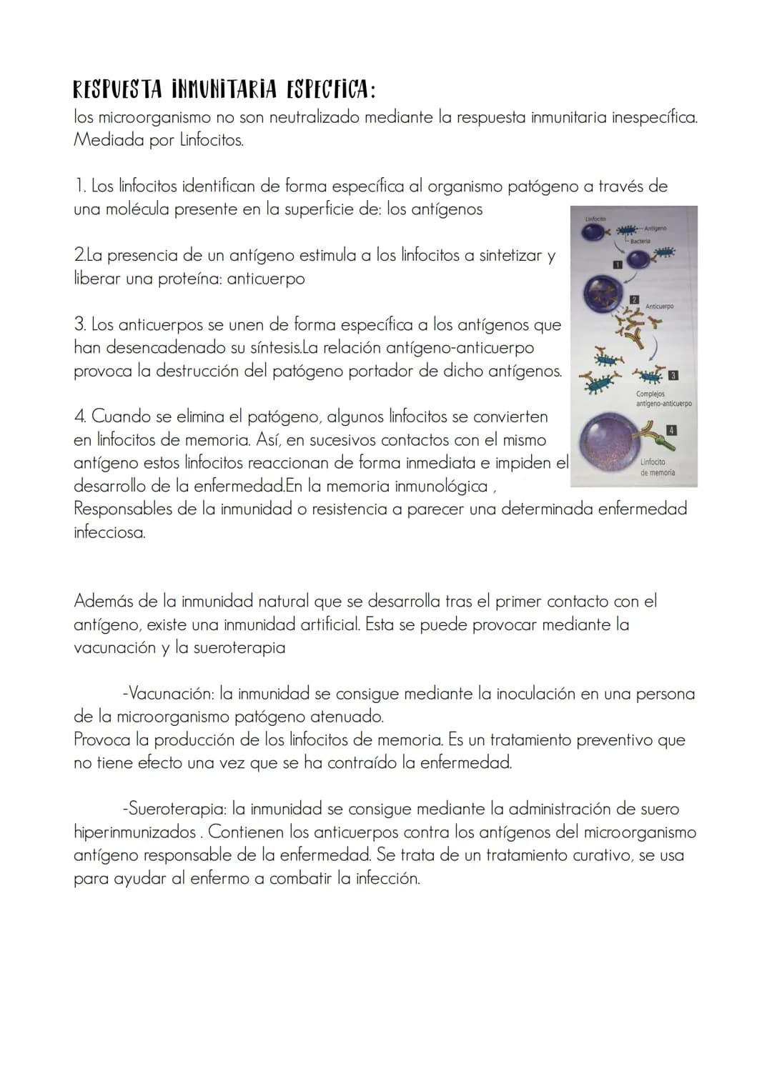 Tema 2 : La salud y la enfermedad
1.LA SALUD :
La salud es un estado de completo bienestar físico,mental y social y con ausencias de
enferme