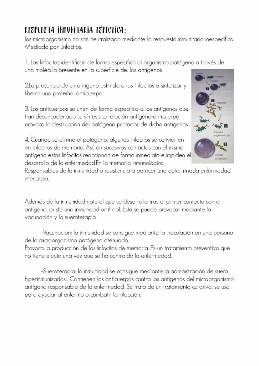Tema 2 : La salud y la enfermedad
1.LA SALUD :
La salud es un estado de completo bienestar físico,mental y social y con ausencias de
enferme