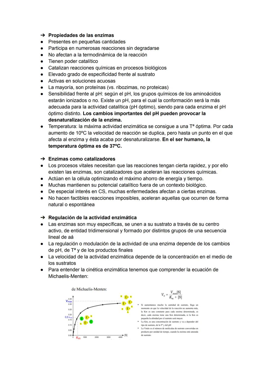 Son proteínas, biocatalizadores de reacciones químicas en los seres vivos
La mayoría son heteroproteínas (holoenzimas) formadas por: una par