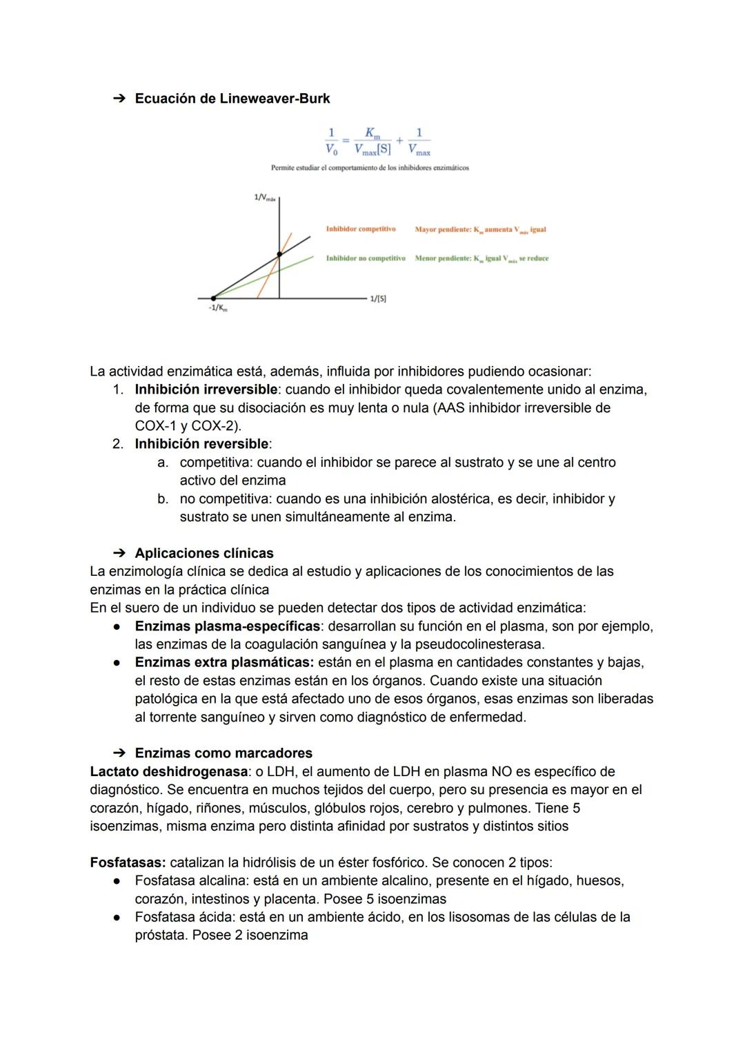 Son proteínas, biocatalizadores de reacciones químicas en los seres vivos
La mayoría son heteroproteínas (holoenzimas) formadas por: una par