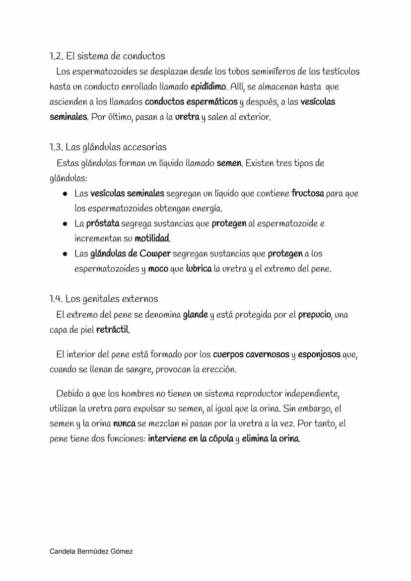 Reproducción
La reproducción sexual requiere los órganos reproductores de diferente sexo,
es decir, el de un hombre y una mujer; y sus célul