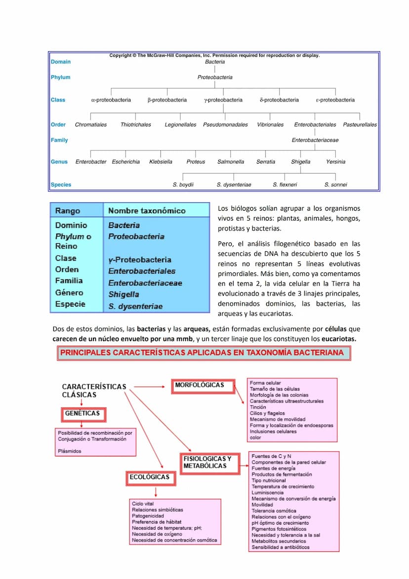 Tema 9 SISTEMÁTICA MICROBIANA
TAXONOMÍA Y SISTEMÁTICA:
Taxonomía: ciencia que estudia la clasificación biológica (de los organismos).
Sistem