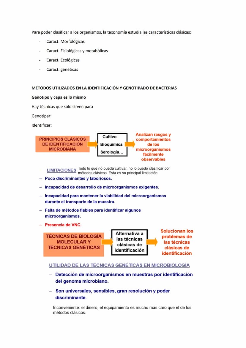 Tema 9 SISTEMÁTICA MICROBIANA
TAXONOMÍA Y SISTEMÁTICA:
Taxonomía: ciencia que estudia la clasificación biológica (de los organismos).
Sistem