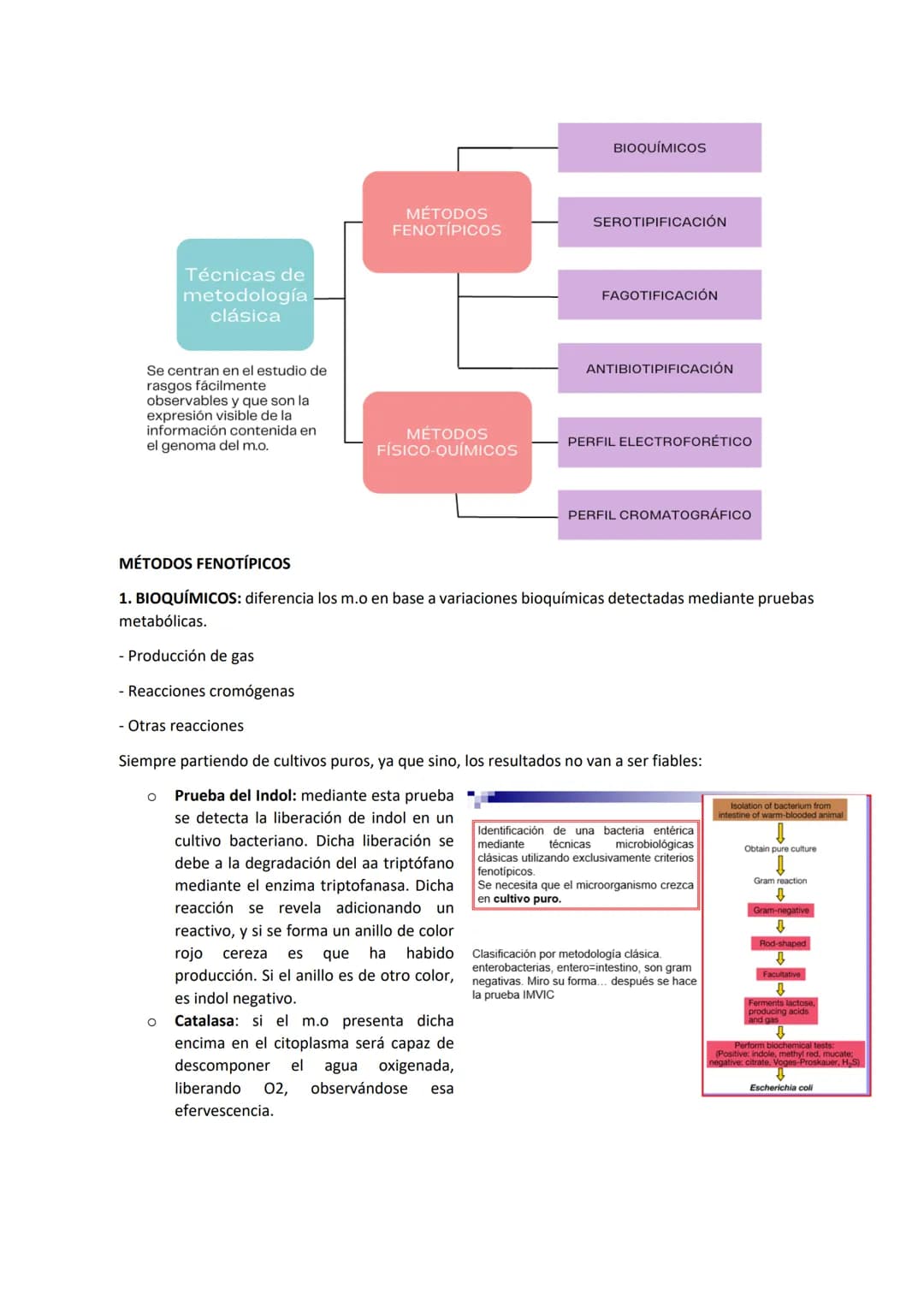 Tema 9 SISTEMÁTICA MICROBIANA
TAXONOMÍA Y SISTEMÁTICA:
Taxonomía: ciencia que estudia la clasificación biológica (de los organismos).
Sistem