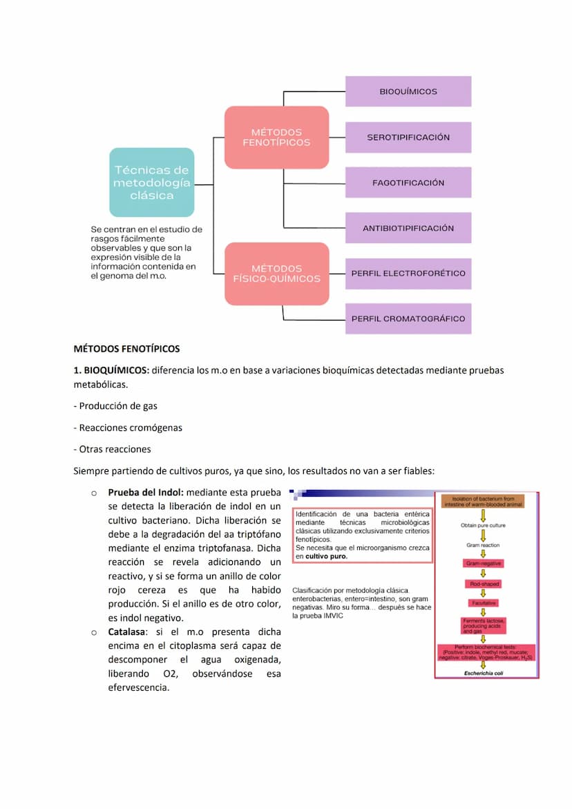 Tema 9 SISTEMÁTICA MICROBIANA
TAXONOMÍA Y SISTEMÁTICA:
Taxonomía: ciencia que estudia la clasificación biológica (de los organismos).
Sistem
