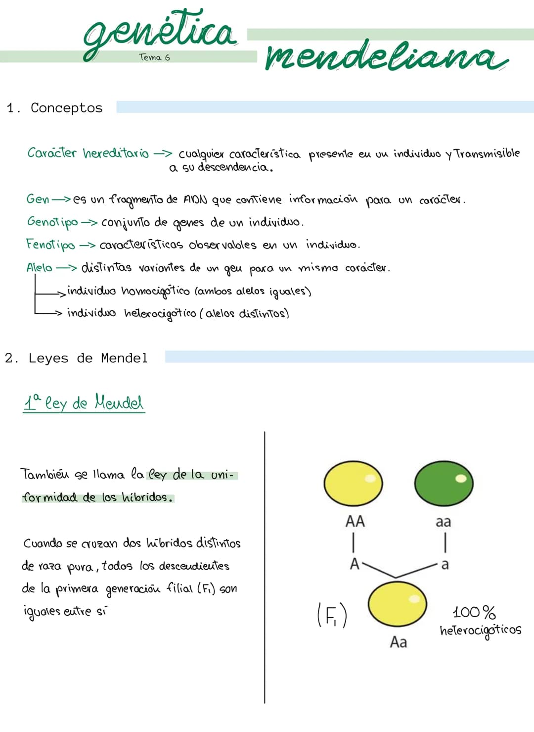 genética mendeliana
1. Conceptos
Caracter hereditario → cualquier caracteristica presente eu vu individuo y Transmisible
a su descendencia.
