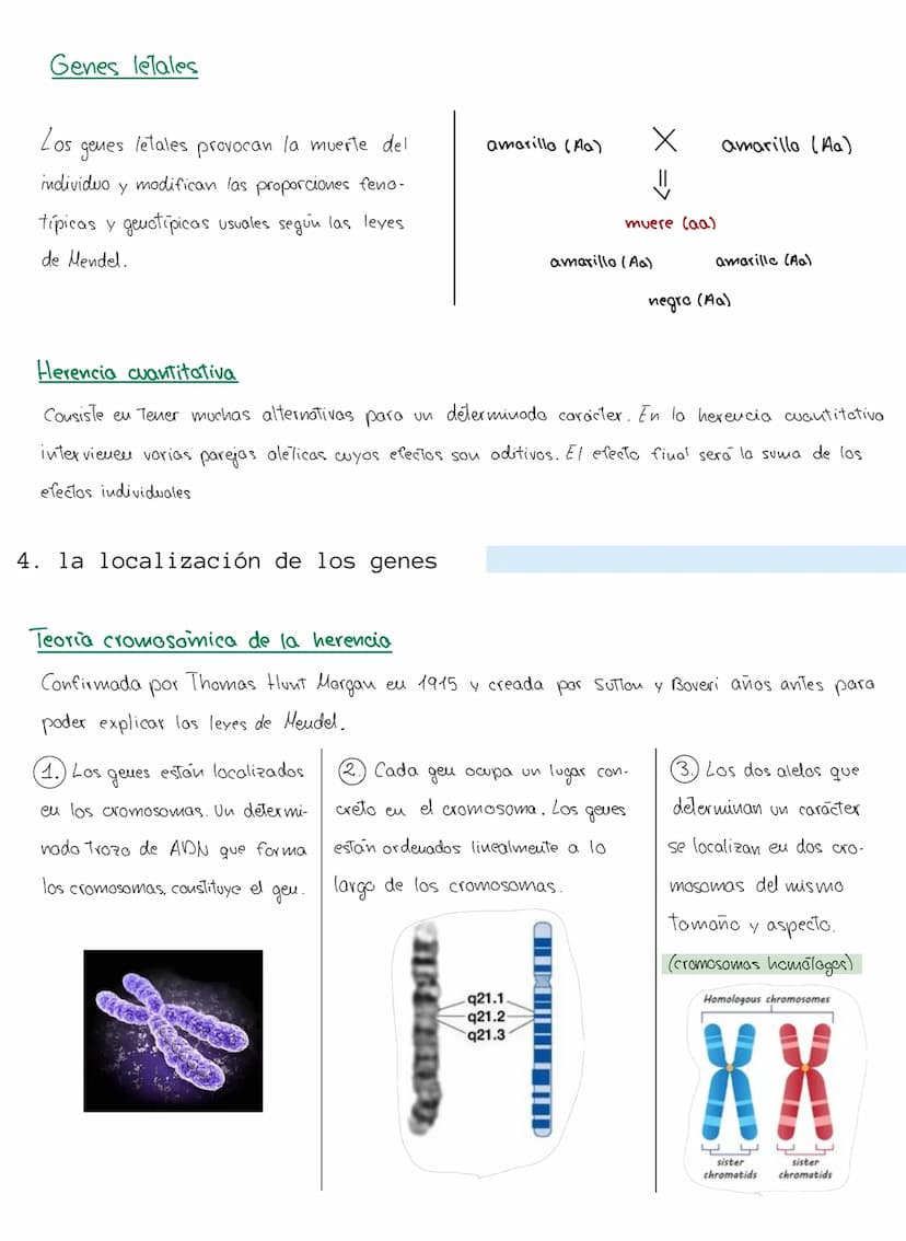 genética mendeliana
1. Conceptos
Caracter hereditario → cualquier caracteristica presente eu vu individuo y Transmisible
a su descendencia.
