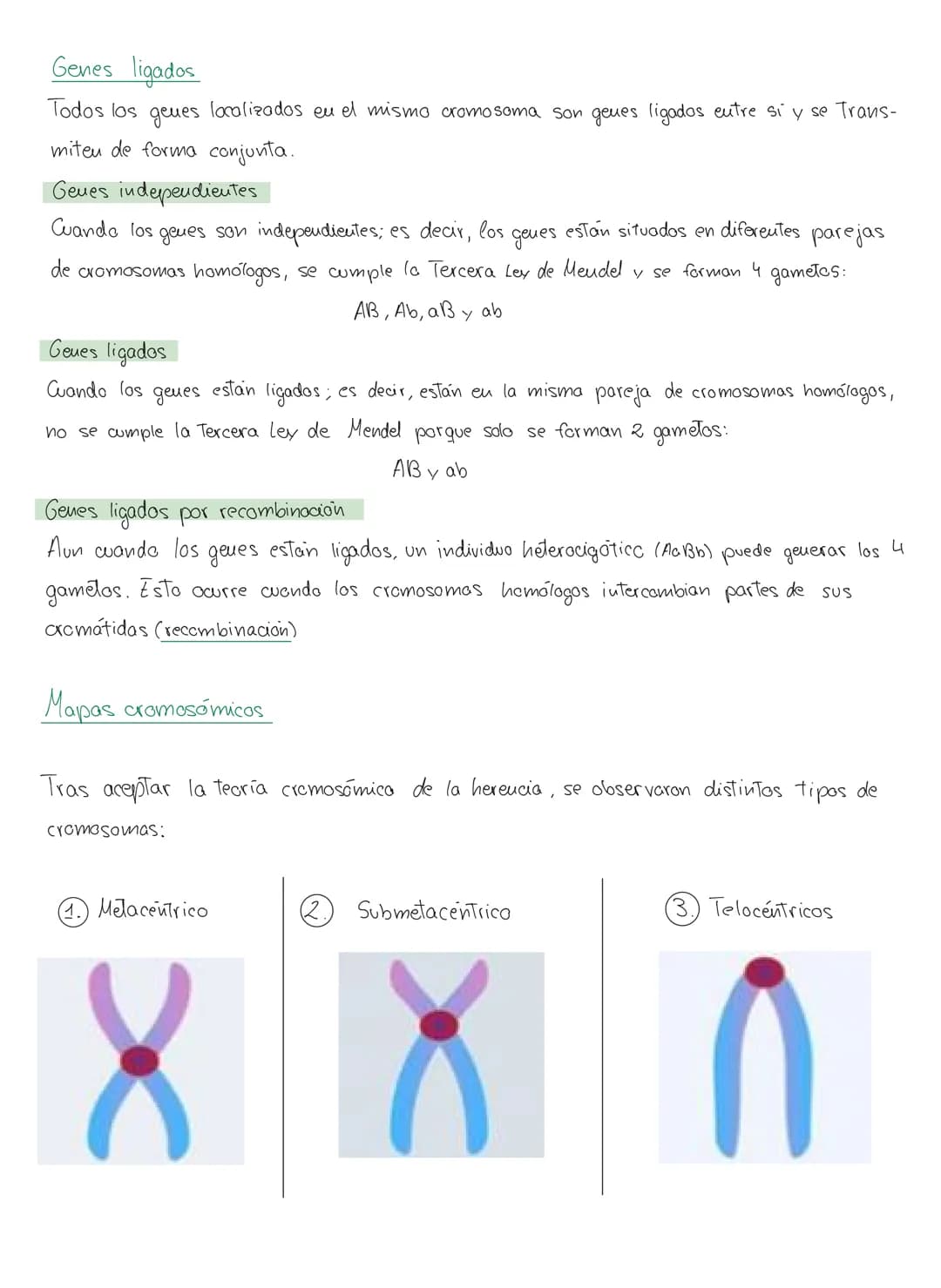 genética mendeliana
1. Conceptos
Caracter hereditario → cualquier caracteristica presente eu vu individuo y Transmisible
a su descendencia.
