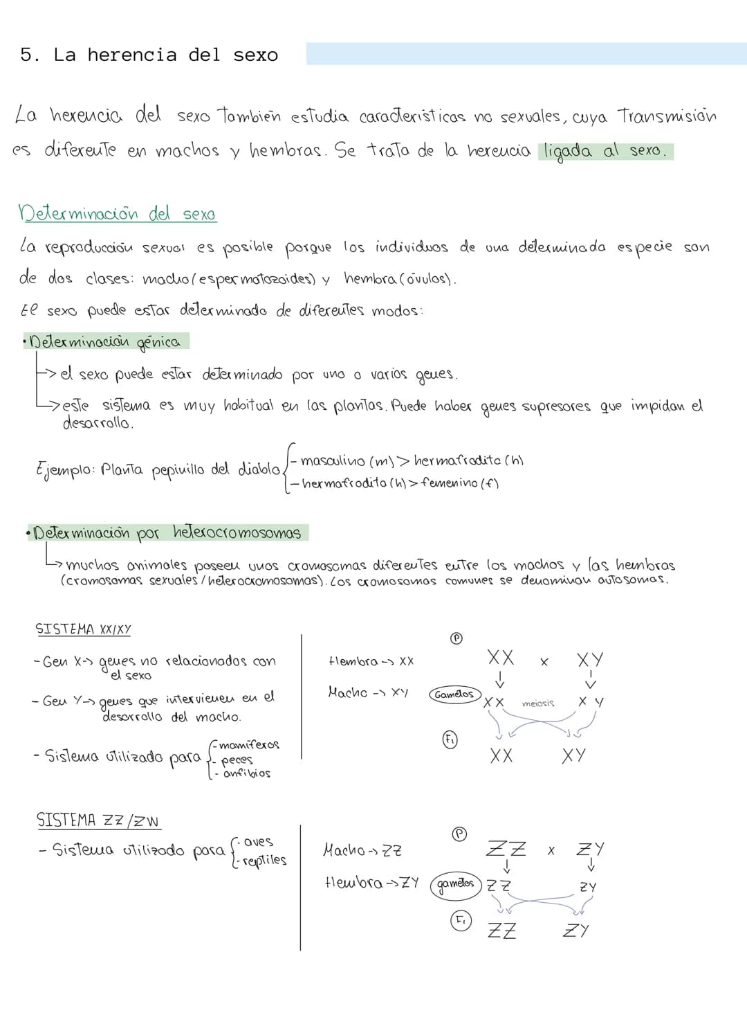 genética mendeliana
1. Conceptos
Caracter hereditario → cualquier caracteristica presente eu vu individuo y Transmisible
a su descendencia.
