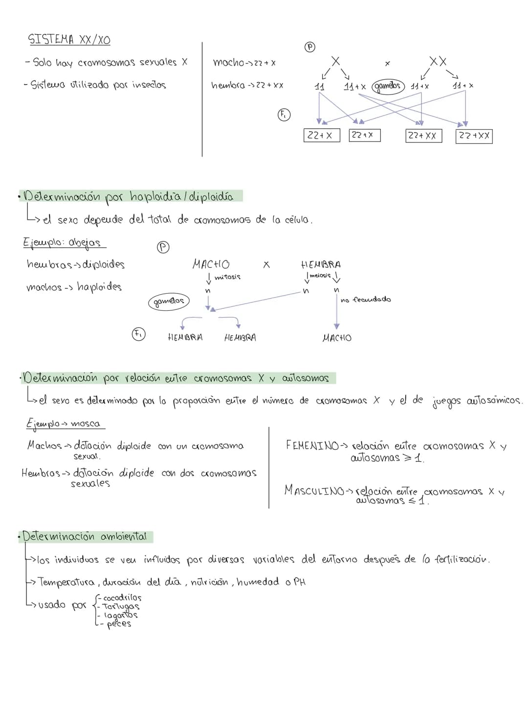 genética mendeliana
1. Conceptos
Caracter hereditario → cualquier caracteristica presente eu vu individuo y Transmisible
a su descendencia.
