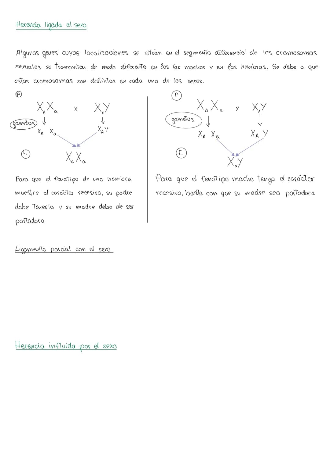 genética mendeliana
1. Conceptos
Caracter hereditario → cualquier caracteristica presente eu vu individuo y Transmisible
a su descendencia.
