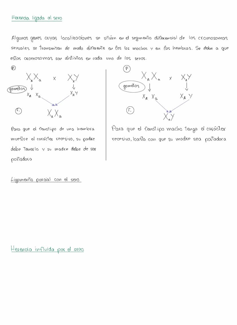 genética mendeliana
1. Conceptos
Caracter hereditario → cualquier caracteristica presente eu vu individuo y Transmisible
a su descendencia.

