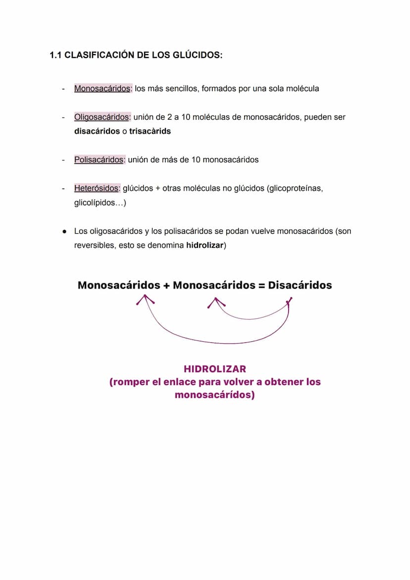 RESUMEN TEMA 2 BIOLOGÍA: LOS GLÚCIDOS
160
Apuntes de: 1.° de Bachillerato científico
Asignatura: Biología (bioquímica)
Curso: 2022/2023 ÍNDI