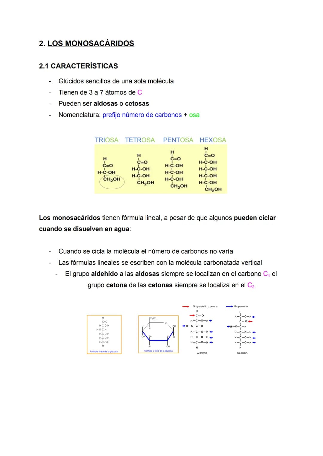 RESUMEN TEMA 2 BIOLOGÍA: LOS GLÚCIDOS
160
Apuntes de: 1.° de Bachillerato científico
Asignatura: Biología (bioquímica)
Curso: 2022/2023 ÍNDI