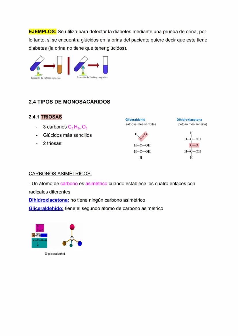 RESUMEN TEMA 2 BIOLOGÍA: LOS GLÚCIDOS
160
Apuntes de: 1.° de Bachillerato científico
Asignatura: Biología (bioquímica)
Curso: 2022/2023 ÍNDI