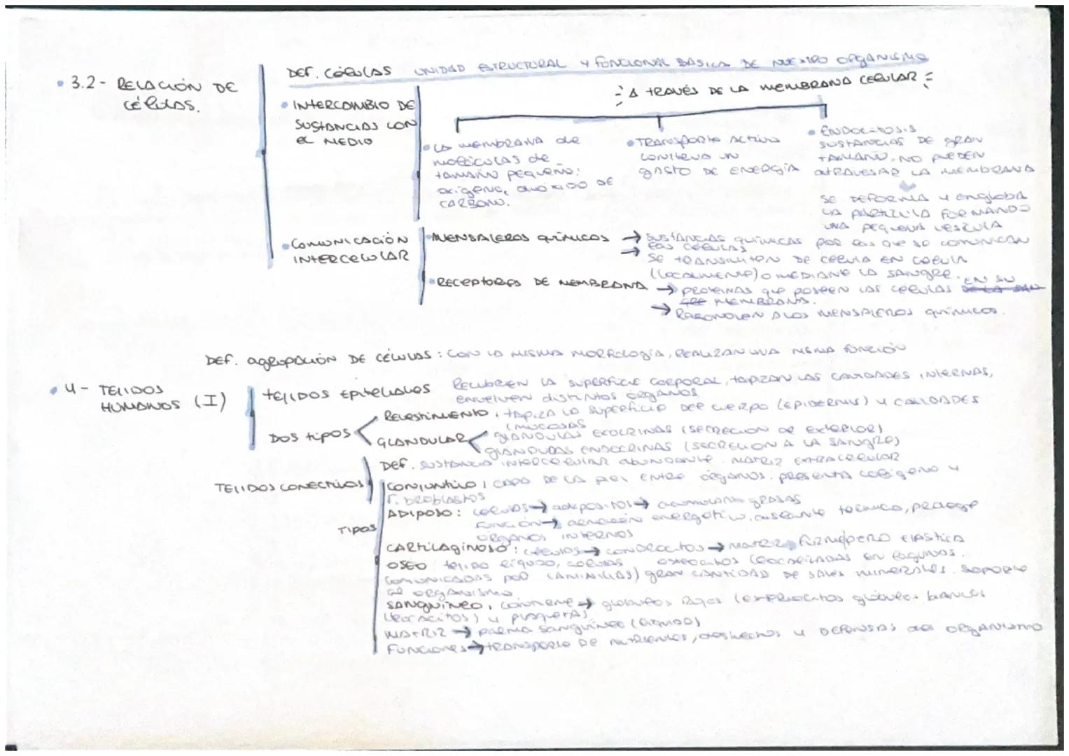 Esta Constituido
POR
Células
AgrupADAS
EN HELIDOS
ORGANIZADAS
ORGANOS
Agrupados
EN
Sistemas Aparatos
EL CUERPO HUMANO
Se clasifican
EN
Epite