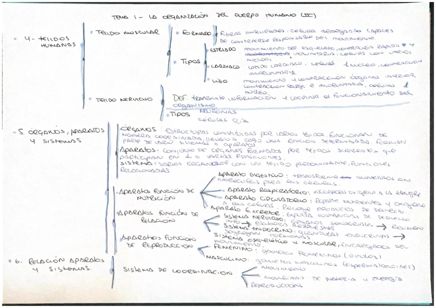 Esta Constituido
POR
Células
AgrupADAS
EN HELIDOS
ORGANIZADAS
ORGANOS
Agrupados
EN
Sistemas Aparatos
EL CUERPO HUMANO
Se clasifican
EN
Epite