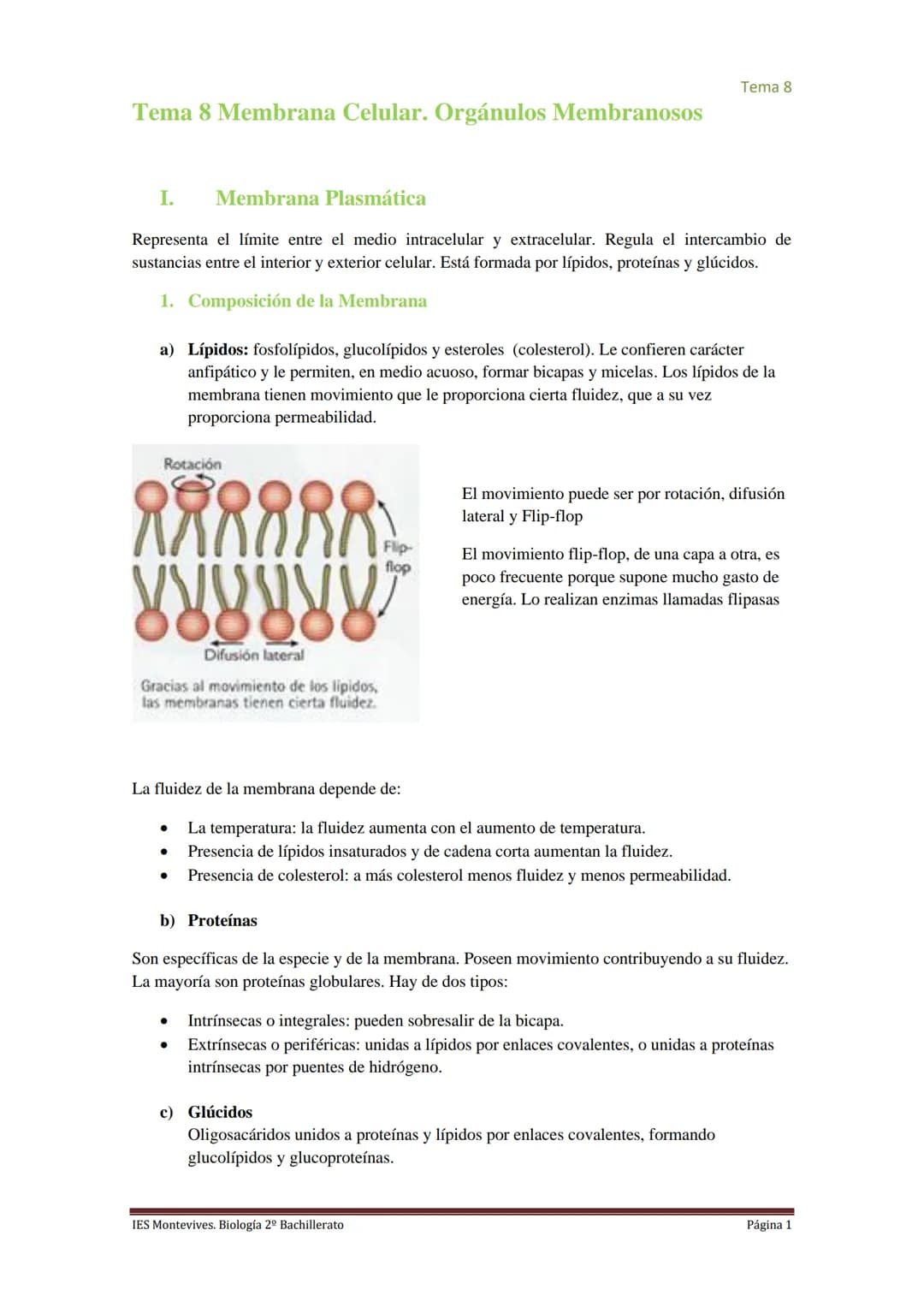 
<h2 id="imembranaplasmtica">I. Membrana Plasmática</h2>
<p>La membrana plasmática representa el límite entre el medio intracelular y extrac