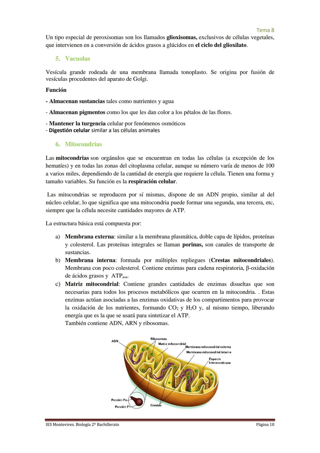 
<h2 id="imembranaplasmtica">I. Membrana Plasmática</h2>
<p>La membrana plasmática representa el límite entre el medio intracelular y extrac
