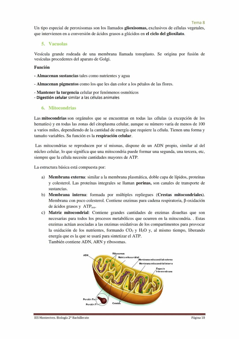 
<h2 id="imembranaplasmtica">I. Membrana Plasmática</h2>
<p>La membrana plasmática representa el límite entre el medio intracelular y extrac