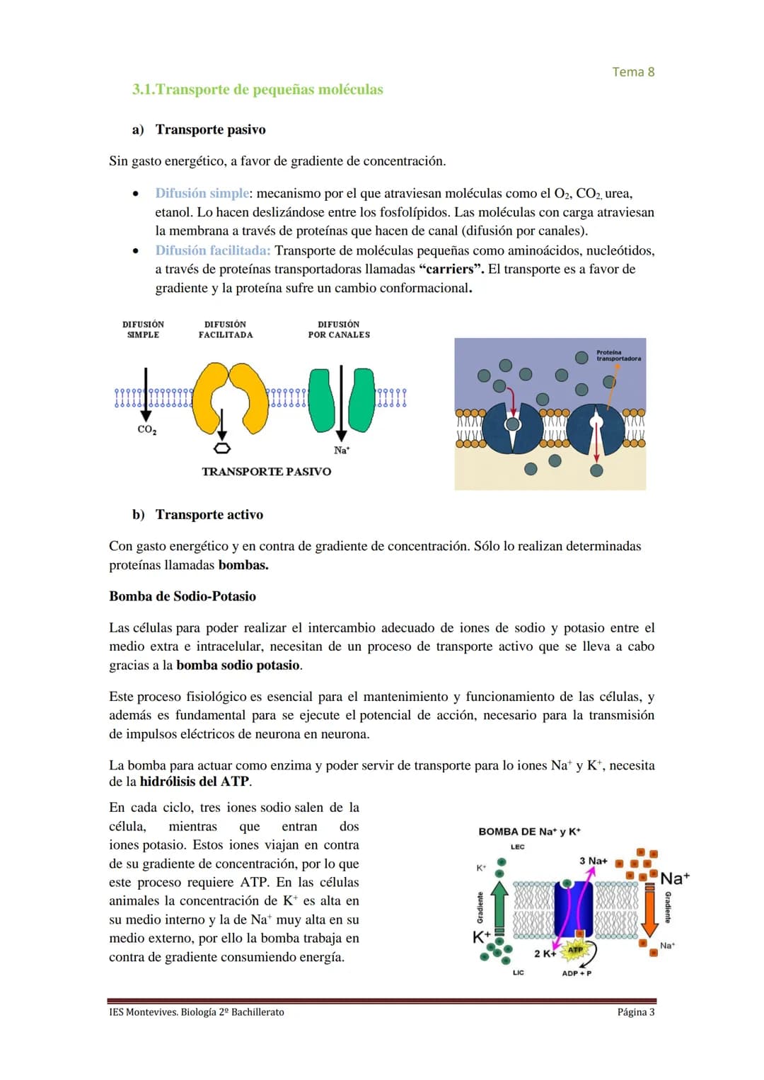 
<h2 id="imembranaplasmtica">I. Membrana Plasmática</h2>
<p>La membrana plasmática representa el límite entre el medio intracelular y extrac