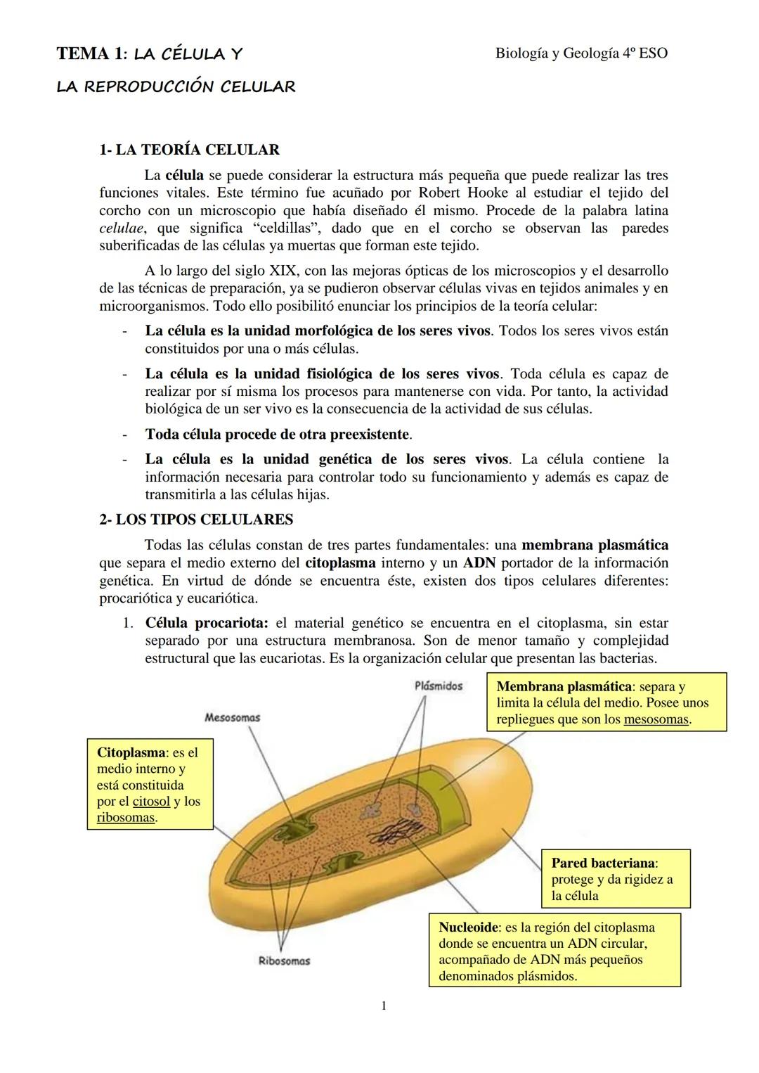 LA CÉLULA Y LA REPRODUCCIÓN CELULAR