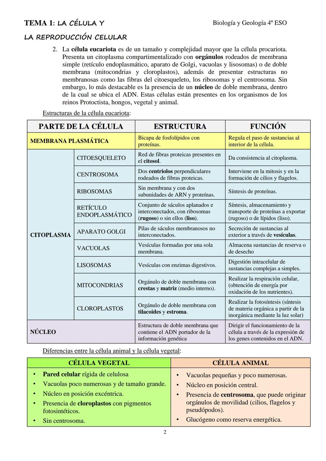# TEMA 1: LA CÉLULA Y

# LA REPRODUCCIÓN CELULAR

Biología y Geología 4º ESO

## 1- LA TEORÍA CELULAR

La célula se puede considerar la estr